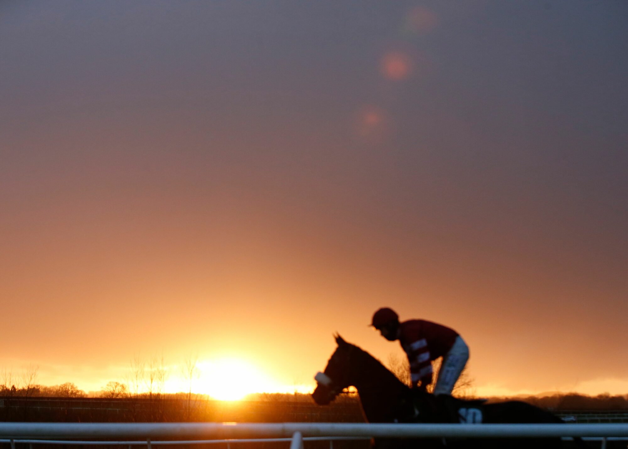 Image name blurry sunset racehorse jockey catterick racecourse yorkshire the 20 image from the post Catterick Jump Race at Catterick Racecourse on Thursday, December 28, 2023 in Yorkshire.com.