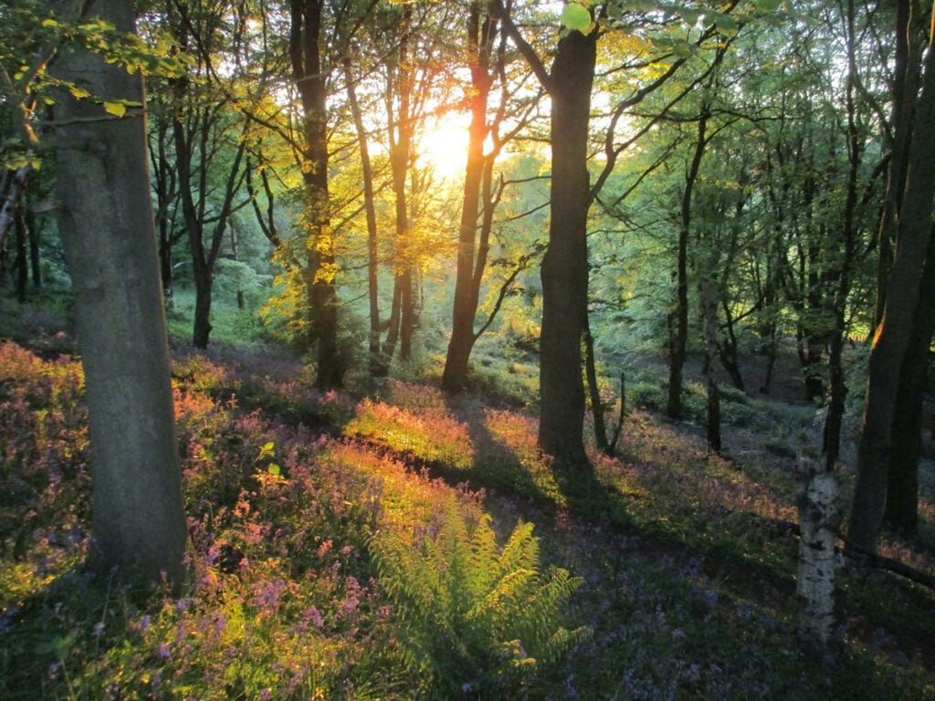 Image name brayton barff selby yorkshire the 1 image from the post Walk: Selby Horseshoe in Yorkshire.com.