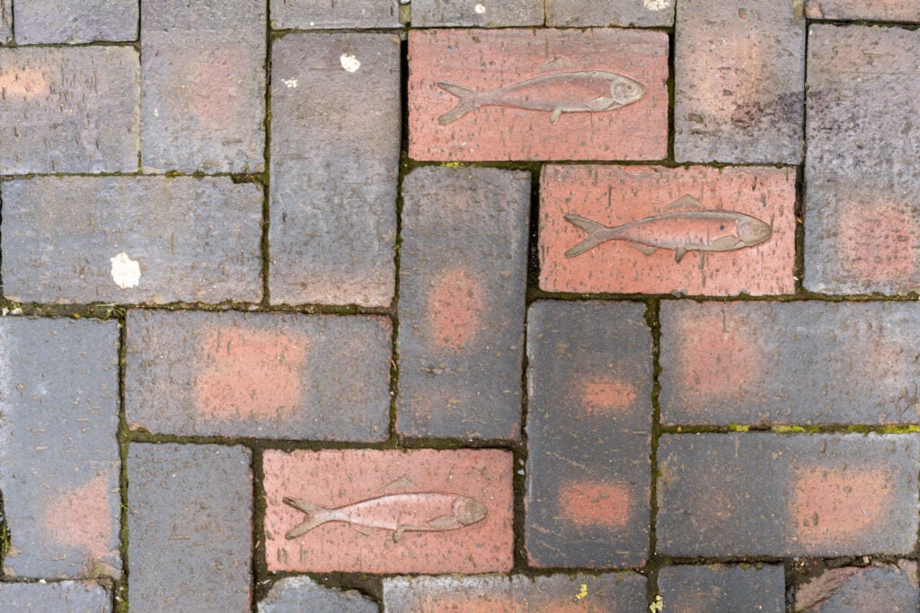 Image name kingston upon hull decorative fish on bricks yorkshire the 1 image from the post Walk: Hull's Fish Trail in Yorkshire.com.
