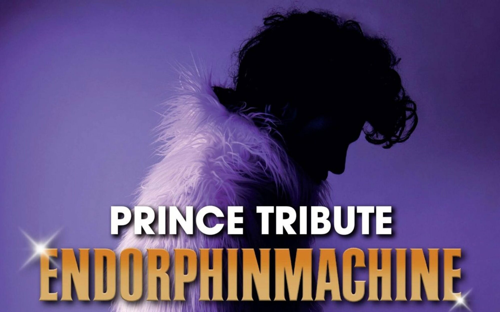 Image name Prince Tribute Endorphinmachine at O2 Academy2 Sheffield Sheffield the 1 image from the post Prince Tribute... Endorphinmachine at O2 Academy2 Sheffield, Sheffield in Yorkshire.com.
