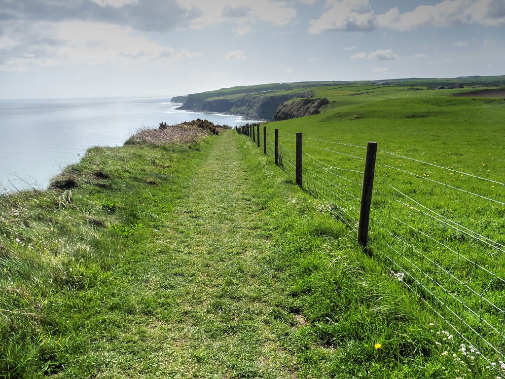 the Cleveland Way walking trail