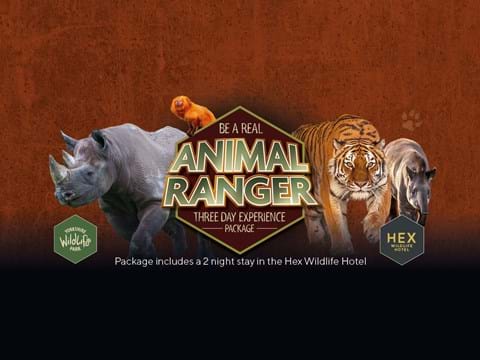 Animal Ranger at Yorkshire Wildlife Park