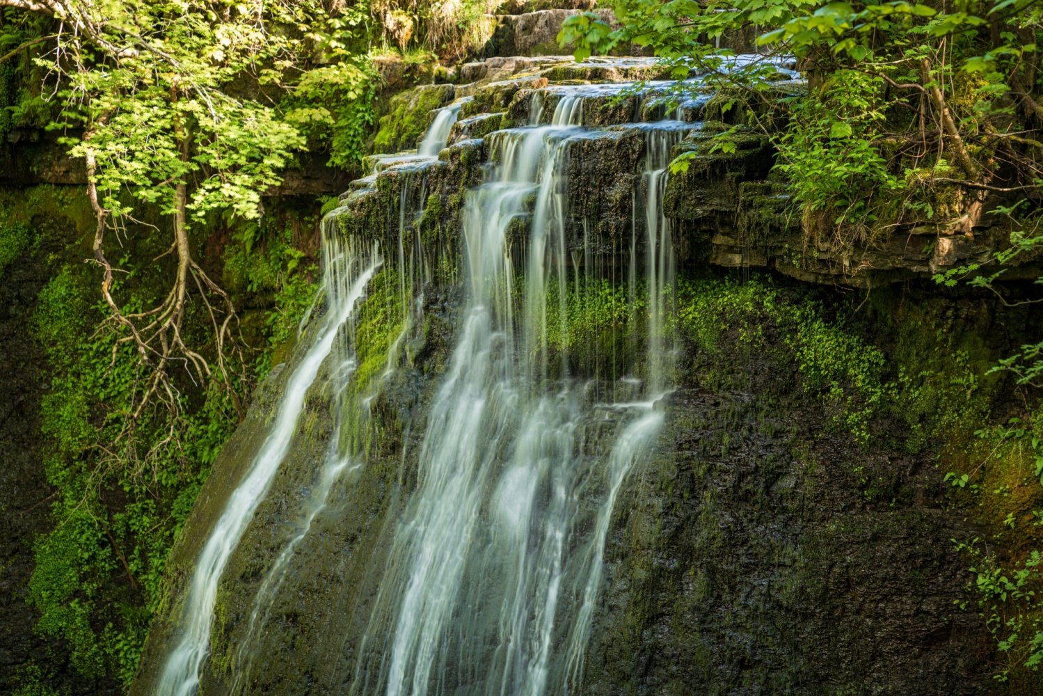 Image name aysgill force north yorkshire the 2 image from the post Walk: Hawes Circular 10 miles in Yorkshire.com.