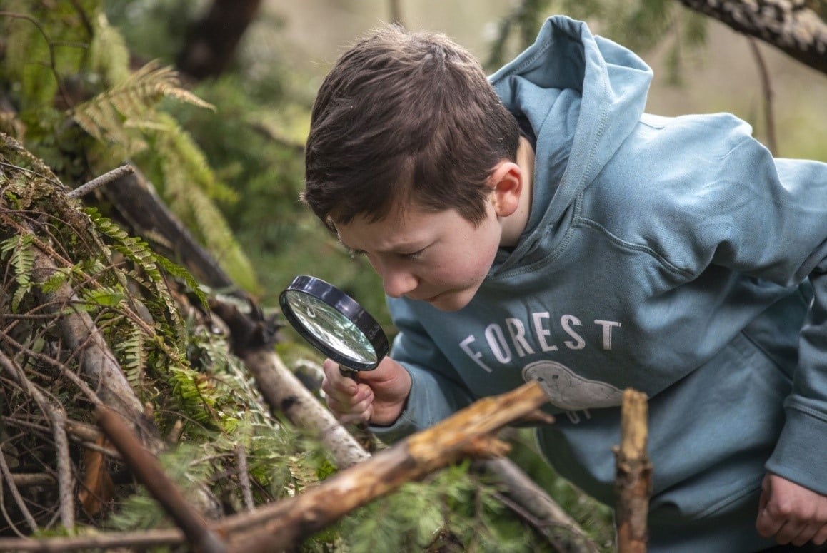 bug hunt